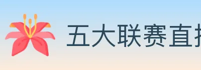 五大联赛直播 logo